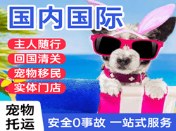 禄口机场物流国际宠物托运 【国
